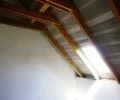Zdjęcie z galerii